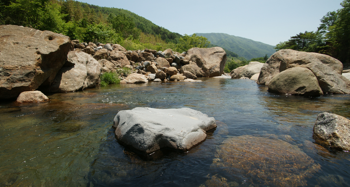 자연풀장(계곡) 4