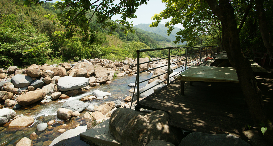 자연풀장(계곡) 5